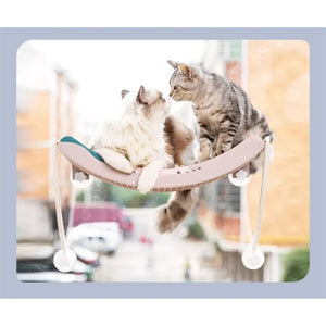 Just Cats - Purfectly Pawesome Pets