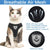 ™Purfectly Pawesome Pets CozyCat Pet Harness And Leash - Purfectly Pawesome Pets