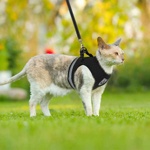 ™Purfectly Pawesome Pets CozyCat Pet Harness And Leash - Purfectly Pawesome Pets