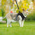 ™Purfectly Pawesome Pets CozyCat Pet Harness And Leash - Purfectly Pawesome Pets