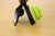 ™Purfectly Pawesome Pets Dog Pet Travel Foldable Pooper Scooper + Roll Decomposable bags - Purfectly Pawesome Pets