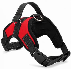 ™Purfectly Pawesome Pets Explosion - proof Trap Hand Holding Rope Leather Saddle Pet Harness - Purfectly Pawesome Pets