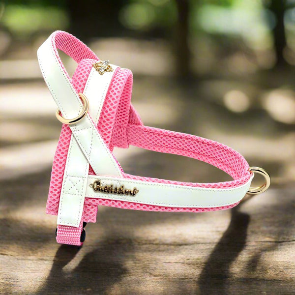 ™Purfectly Pawesome Pets My baby girl One - click dog harness - Purfectly Pawesome Pets