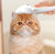 ™Purfectly Pawesome Self Cleaning Pet Hair Remover with Misting Feature - Purfectly Pawesome Pets