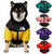 The Dog Face Winter Pet Dog Duck Down Vest - Purfectly Pawesome Pets