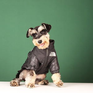 The Dog Face Winter Pet Dog Duck Down Vest - Purfectly Pawesome Pets