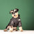 The Dog Face Winter Pet Dog Duck Down Vest - Purfectly Pawesome Pets